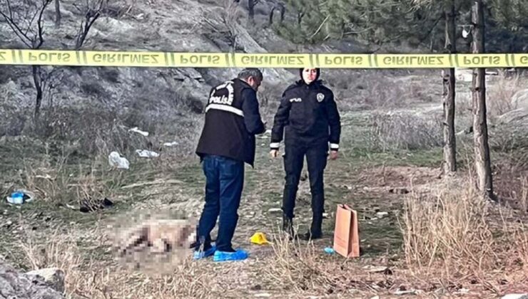 Ankara’ da köpekleri silahla vurarak öldürdüler