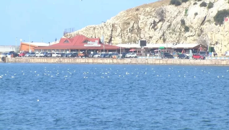 Şile sahilde mayın patladı