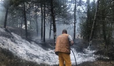 Piknikçiler ormanı küle çevirdi