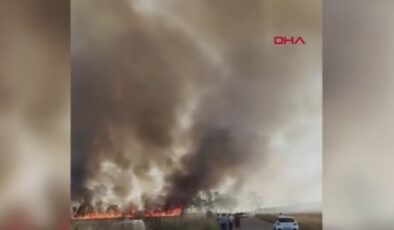 Çatalca’da tarlalar yanıyor
