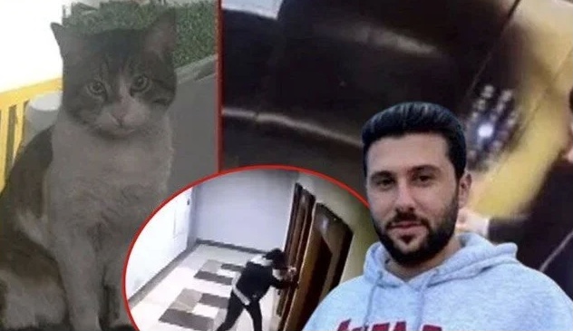 Kediyi asansöre sıkıştırıp vahşice öldürmüştü: Cezası belli oldu