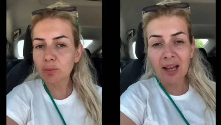 Hastalıklı köpekleri toplayıp getirdiler: Ankara’da sokaklara bıraktılar