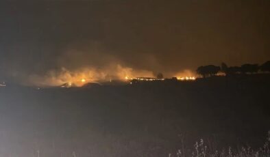 Diyarbakır’da yakılan anız yangın çıkardı: 4 kişi öldü, 5 kişi yaralandı