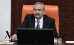 Son Dakika | Sırrı Süreyya Önder hastaneye kaldırıldı